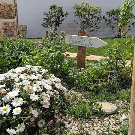 Mimi Casa de Férias